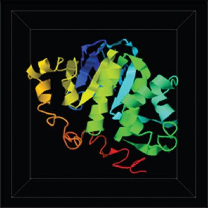 https://cdn.ncbi.nlm.nih.gov/pmc/blobs/df53/7896887/5488167f2252/Vetworld-14-33-g003.jpg