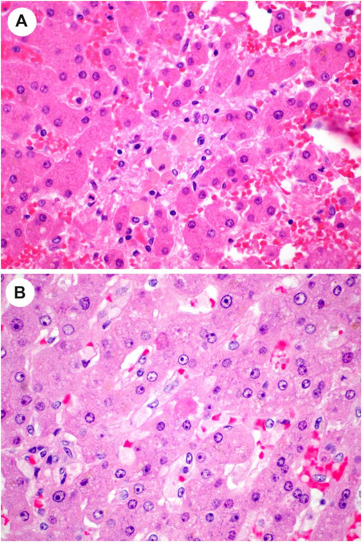 https://cdn.ncbi.nlm.nih.gov/pmc/blobs/df53/9288242/af60a3f0e40b/gr10_lrg.jpg