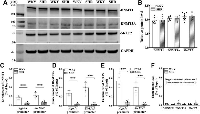 https://cdn.ncbi.nlm.nih.gov/pmc/blobs/df54/10830874/1e82d0d3e372/gr4.jpg