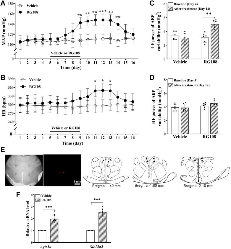 https://cdn.ncbi.nlm.nih.gov/pmc/blobs/df54/10830874/7f45b4af60f4/gr6.jpg