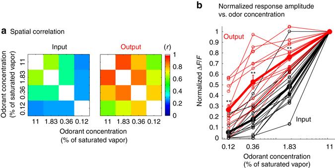 https://cdn.ncbi.nlm.nih.gov/pmc/blobs/df54/5517565/13e1df7b9730/41467_2017_36_Fig3_HTML.jpg