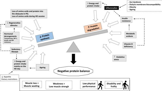 https://cdn.ncbi.nlm.nih.gov/pmc/blobs/df54/8357704/688fb382f5d7/40620_2020_840_Fig2_HTML.jpg