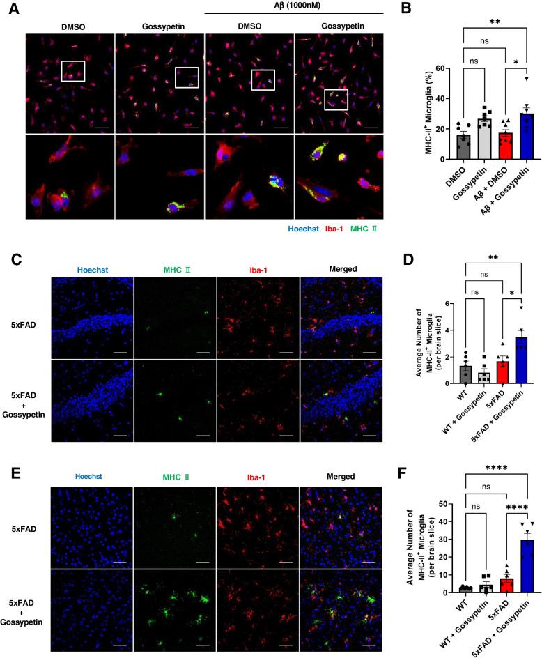 https://cdn.ncbi.nlm.nih.gov/pmc/blobs/df54/9585741/0bdb2b5db7d2/13195_2022_1096_Fig5_HTML.jpg