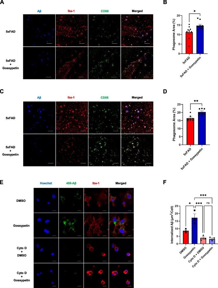 https://cdn.ncbi.nlm.nih.gov/pmc/blobs/df54/9585741/434a56e5eb26/13195_2022_1096_Fig4_HTML.jpg