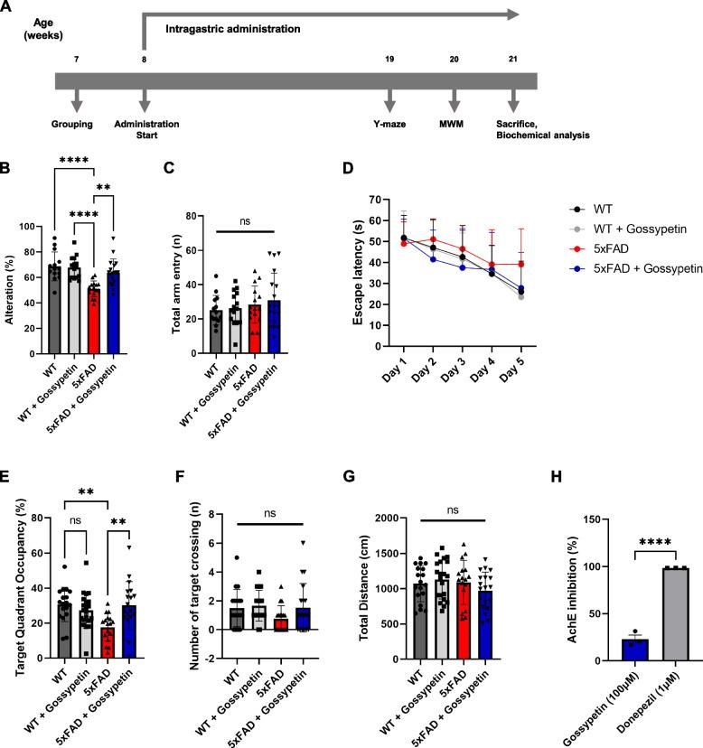 https://cdn.ncbi.nlm.nih.gov/pmc/blobs/df54/9585741/7c5714dbc9ce/13195_2022_1096_Fig1_HTML.jpg