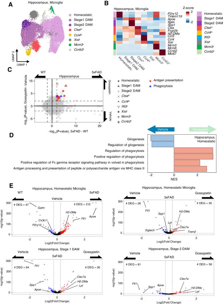https://cdn.ncbi.nlm.nih.gov/pmc/blobs/df54/9585741/d1b837111628/13195_2022_1096_Fig3_HTML.jpg