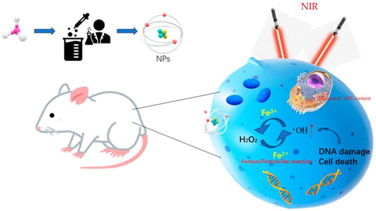 https://cdn.ncbi.nlm.nih.gov/pmc/blobs/df56/10536994/250d311cf06c/pharmaceutics-15-02337-g001.jpg