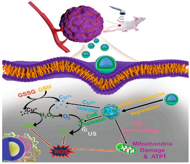 https://cdn.ncbi.nlm.nih.gov/pmc/blobs/df56/10536994/39bb7b16d1dd/pharmaceutics-15-02337-g006.jpg