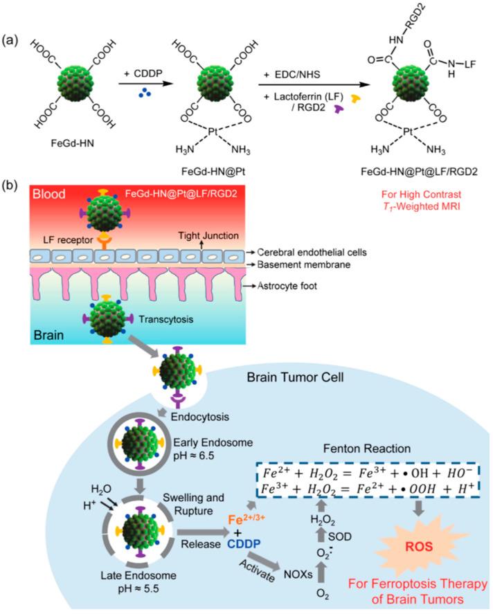 https://cdn.ncbi.nlm.nih.gov/pmc/blobs/df56/10536994/69ab802f962a/pharmaceutics-15-02337-g004.jpg
