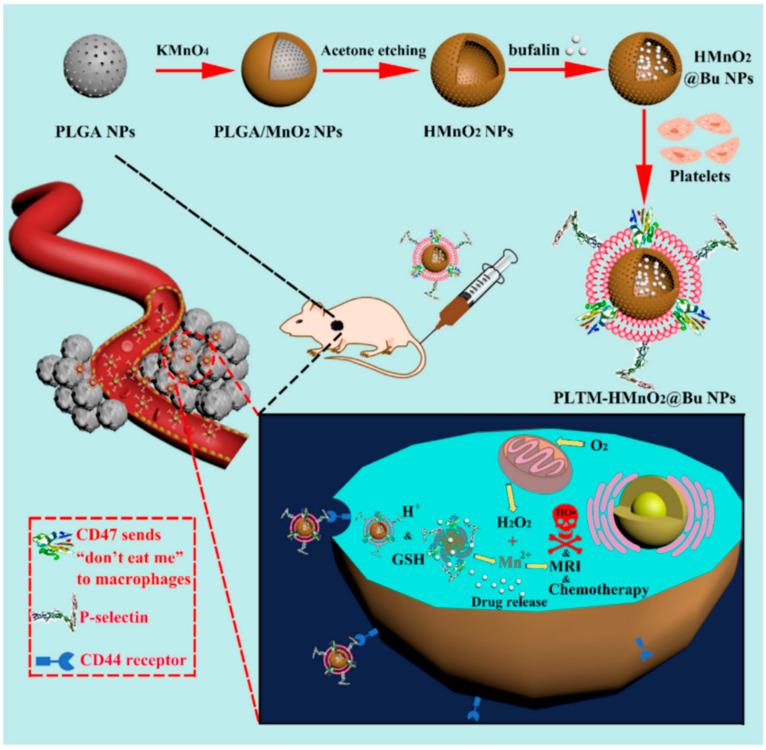 https://cdn.ncbi.nlm.nih.gov/pmc/blobs/df56/10536994/e40ca942bdbc/pharmaceutics-15-02337-g007.jpg