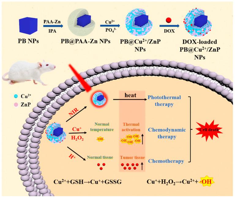 https://cdn.ncbi.nlm.nih.gov/pmc/blobs/df56/10536994/e5a793634e99/pharmaceutics-15-02337-g015.jpg