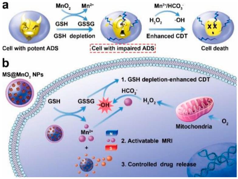 https://cdn.ncbi.nlm.nih.gov/pmc/blobs/df56/10536994/e690a6a36a45/pharmaceutics-15-02337-g003.jpg