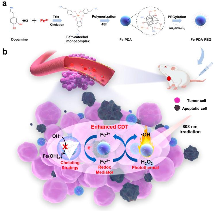 https://cdn.ncbi.nlm.nih.gov/pmc/blobs/df56/10536994/f15725392938/pharmaceutics-15-02337-g011.jpg