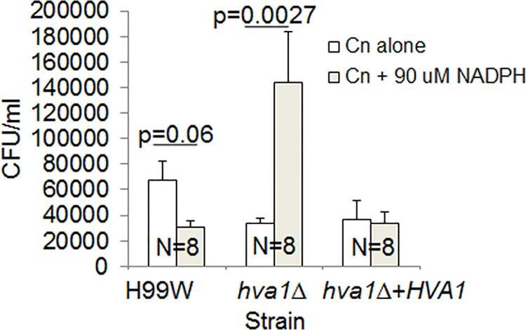 https://cdn.ncbi.nlm.nih.gov/pmc/blobs/df56/5008624/12b20805d84e/ppat.1005849.g007.jpg