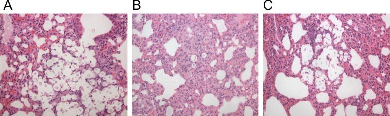 https://cdn.ncbi.nlm.nih.gov/pmc/blobs/df56/5008624/dba08e19002a/ppat.1005849.g003.jpg