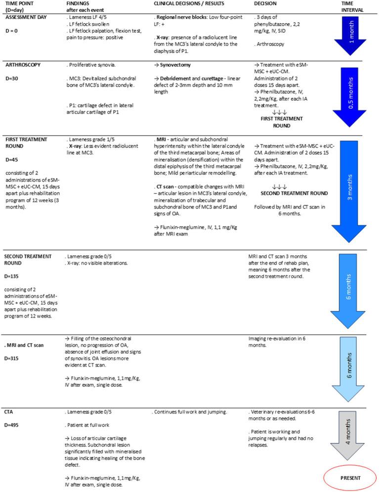 https://cdn.ncbi.nlm.nih.gov/pmc/blobs/df57/11150641/bf12b433c28f/fvets-11-1403174-g001.jpg