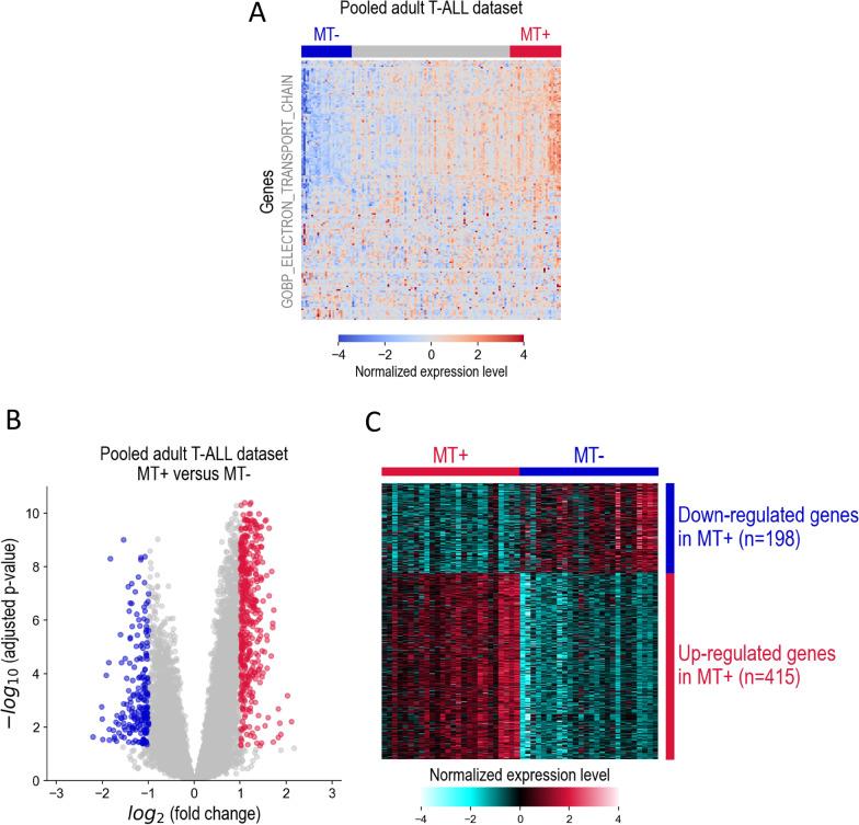 https://cdn.ncbi.nlm.nih.gov/pmc/blobs/df57/12079967/ef5c0116e6a8/12967_2025_6423_Fig1_HTML.jpg
