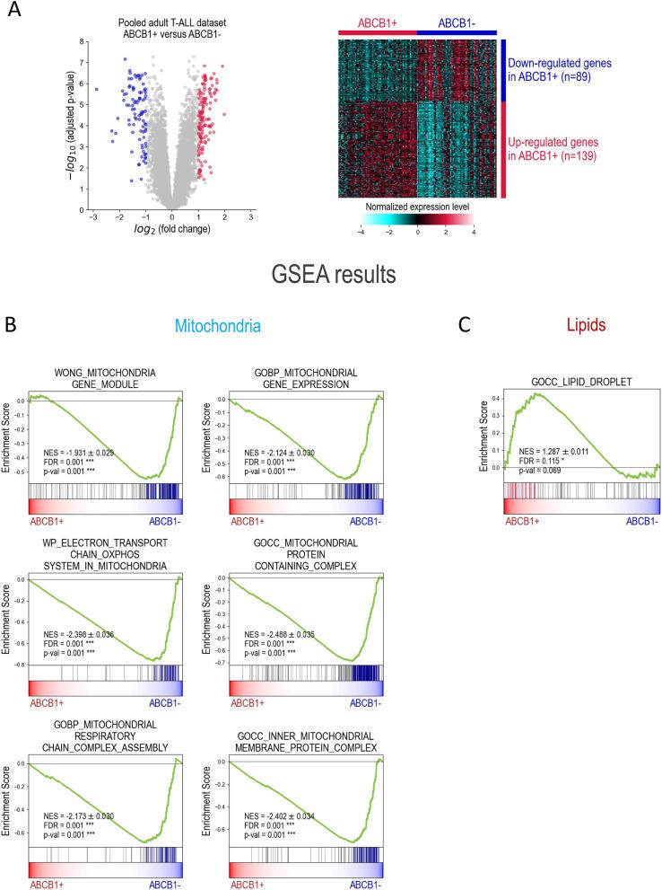https://cdn.ncbi.nlm.nih.gov/pmc/blobs/df57/12079967/f97a5b8336cd/12967_2025_6423_Fig6_HTML.jpg