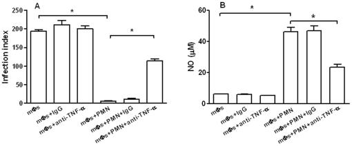 https://cdn.ncbi.nlm.nih.gov/pmc/blobs/df58/2972777/210881f9aec7/pone.0013815.g004.jpg