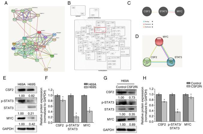 https://cdn.ncbi.nlm.nih.gov/pmc/blobs/df58/9164265/1318c09614f9/or-48-01-08333-g07.jpg