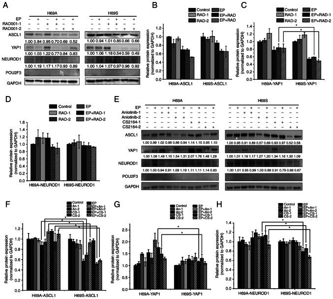 https://cdn.ncbi.nlm.nih.gov/pmc/blobs/df58/9164265/19111c2a38eb/or-48-01-08333-g03.jpg