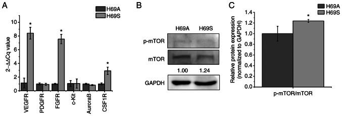 https://cdn.ncbi.nlm.nih.gov/pmc/blobs/df58/9164265/7f1a92032ccb/or-48-01-08333-g02.jpg