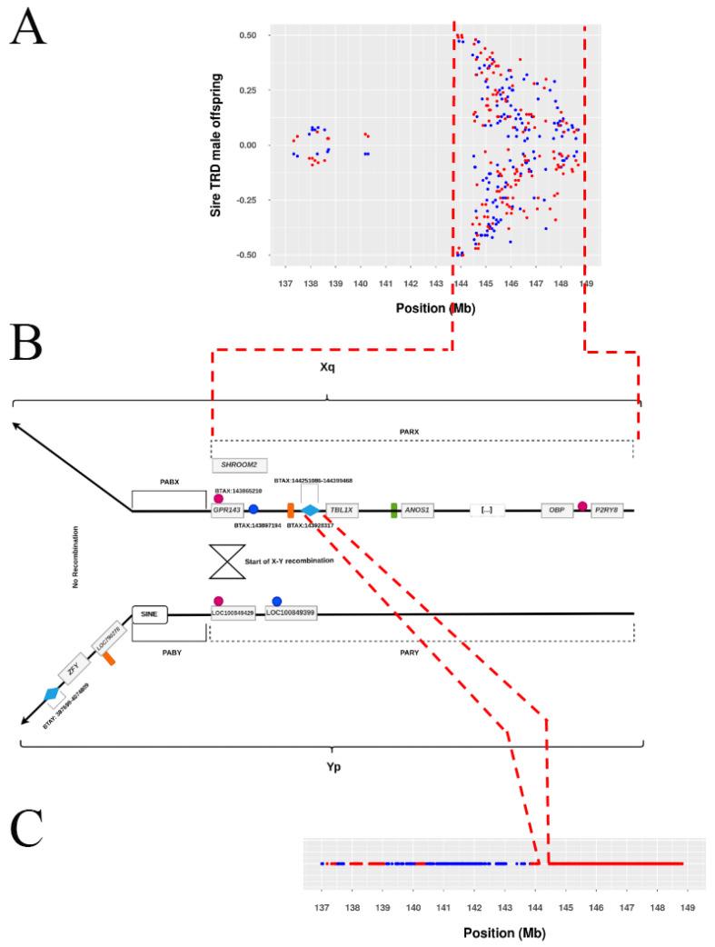 https://cdn.ncbi.nlm.nih.gov/pmc/blobs/df5b/9778079/22b45f3e1d6f/genes-13-02322-g002.jpg