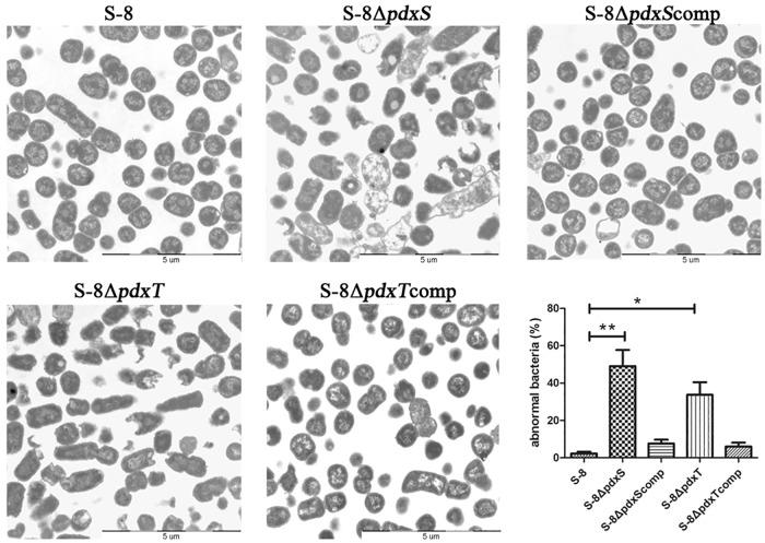 https://cdn.ncbi.nlm.nih.gov/pmc/blobs/df5c/5407770/4852b2df1112/pone.0176374.g006.jpg