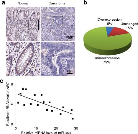 https://cdn.ncbi.nlm.nih.gov/pmc/blobs/df5d/5755155/1a7aa93c8815/12943_2017_753_Fig4_HTML.jpg
