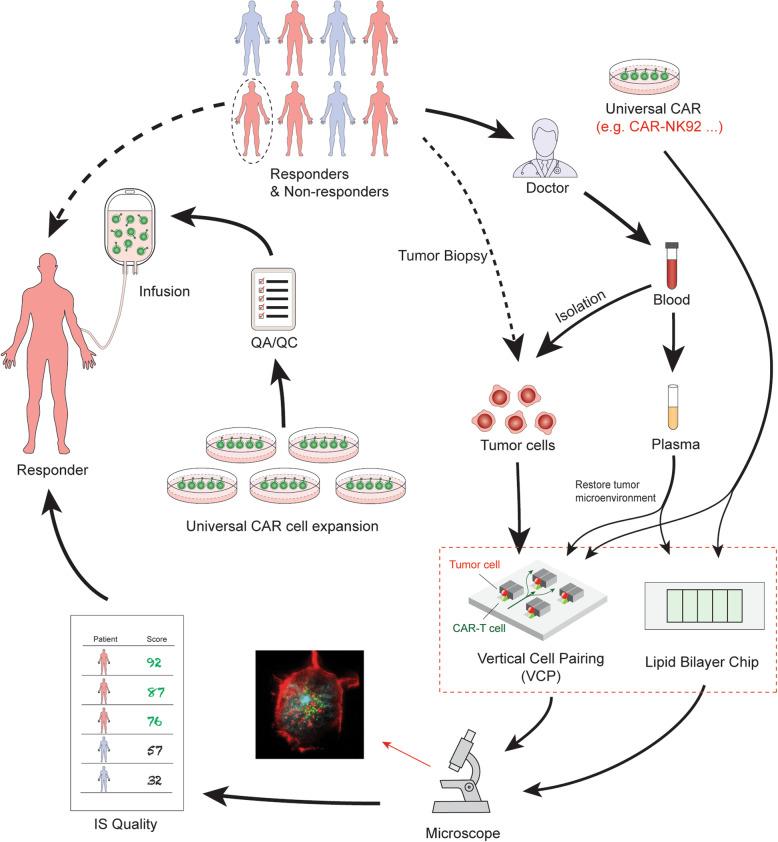 https://cdn.ncbi.nlm.nih.gov/pmc/blobs/df5f/7446110/0059c4ea1943/12964_2020_617_Fig4_HTML.jpg
