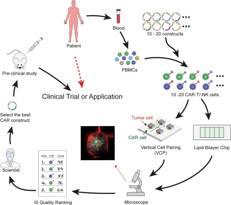 https://cdn.ncbi.nlm.nih.gov/pmc/blobs/df5f/7446110/818923d7b616/12964_2020_617_Fig3_HTML.jpg