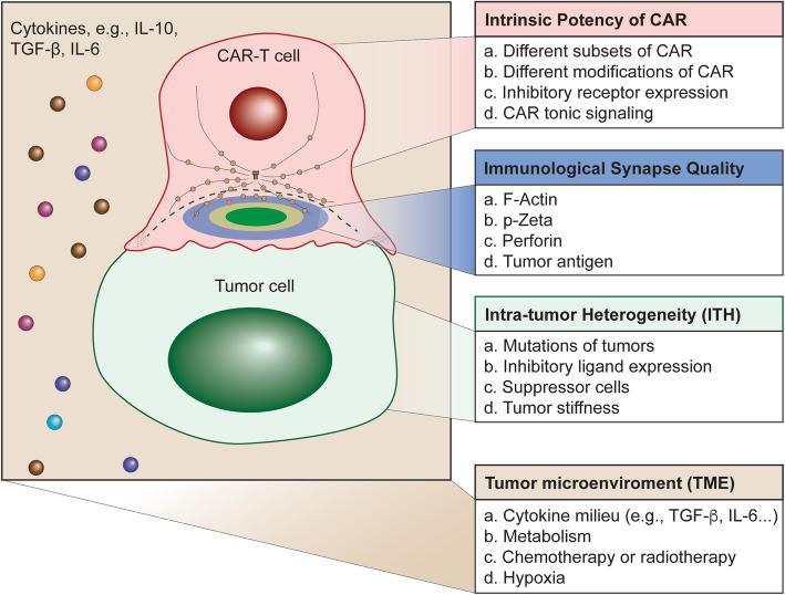 https://cdn.ncbi.nlm.nih.gov/pmc/blobs/df5f/7446110/d35fc44274b2/12964_2020_617_Fig6_HTML.jpg