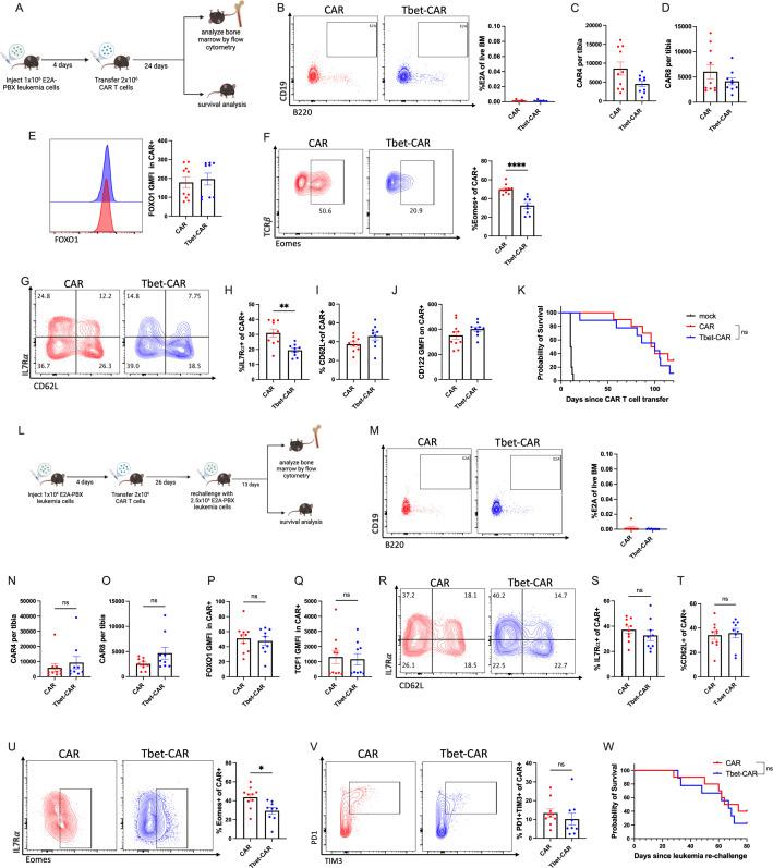 https://cdn.ncbi.nlm.nih.gov/pmc/blobs/df60/12007057/e07d780e82a0/jitc-13-4-g004.jpg