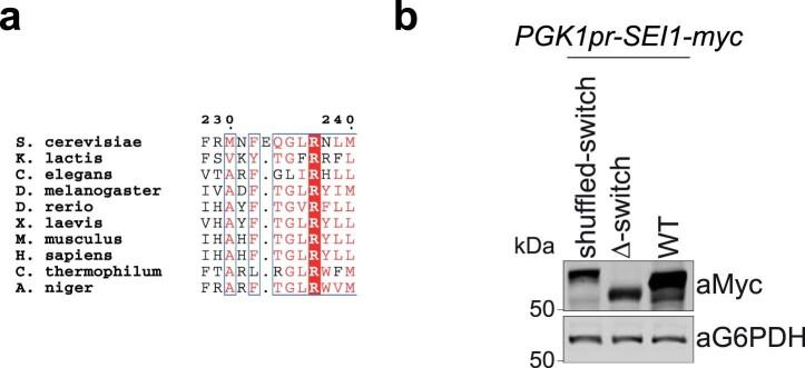 https://cdn.ncbi.nlm.nih.gov/pmc/blobs/df61/8930772/27c0766fcb15/41594_2021_718_Fig13_ESM.jpg