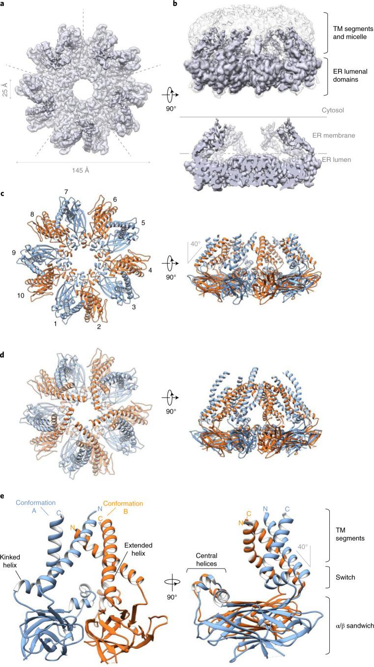 https://cdn.ncbi.nlm.nih.gov/pmc/blobs/df61/8930772/727ee22bf836/41594_2021_718_Fig1_HTML.jpg