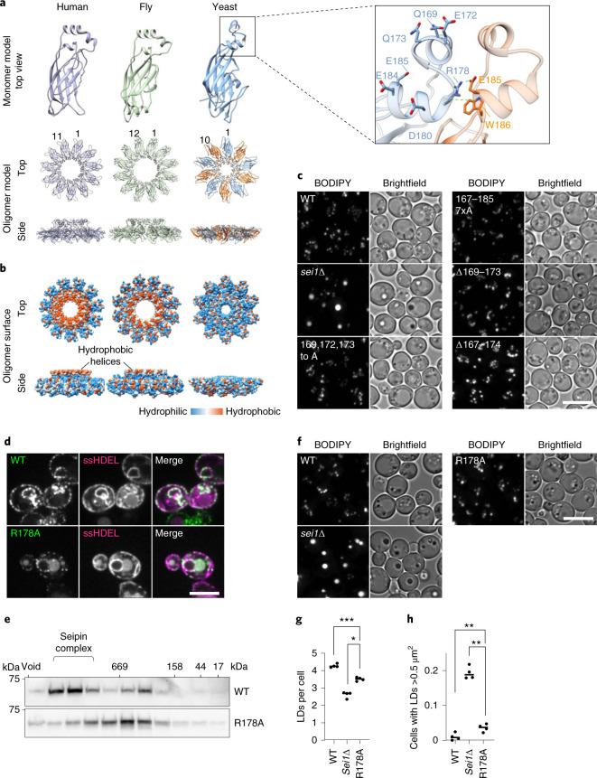 https://cdn.ncbi.nlm.nih.gov/pmc/blobs/df61/8930772/f1fe97190ff8/41594_2021_718_Fig2_HTML.jpg