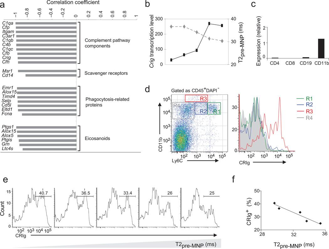 https://cdn.ncbi.nlm.nih.gov/pmc/blobs/df62/3309063/3a3ab43c6f90/nihms349609f5.jpg
