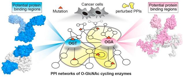 https://cdn.ncbi.nlm.nih.gov/pmc/blobs/df62/9600386/c2216b15bafb/cancers-14-05135-g005.jpg