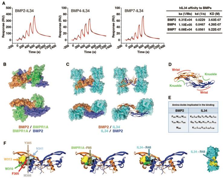 https://cdn.ncbi.nlm.nih.gov/pmc/blobs/df63/11898274/079f976a3b7f/thnov15p3185g005.jpg