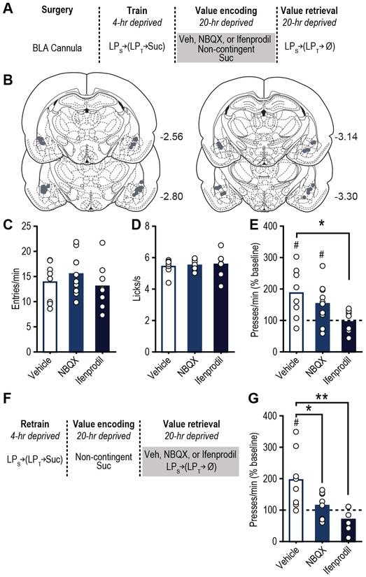 https://cdn.ncbi.nlm.nih.gov/pmc/blobs/df63/6486448/7c86a6c58158/nihms-1523025-f0002.jpg