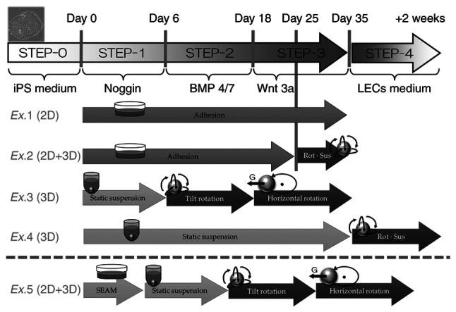 https://cdn.ncbi.nlm.nih.gov/pmc/blobs/df64/9257972/8d24a8705c6a/etm-24-02-11476-g00.jpg