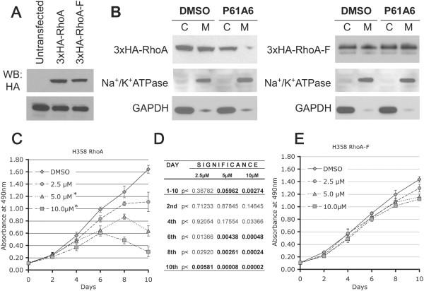 https://cdn.ncbi.nlm.nih.gov/pmc/blobs/df65/3639152/da43106b880f/1471-2407-13-198-4.jpg
