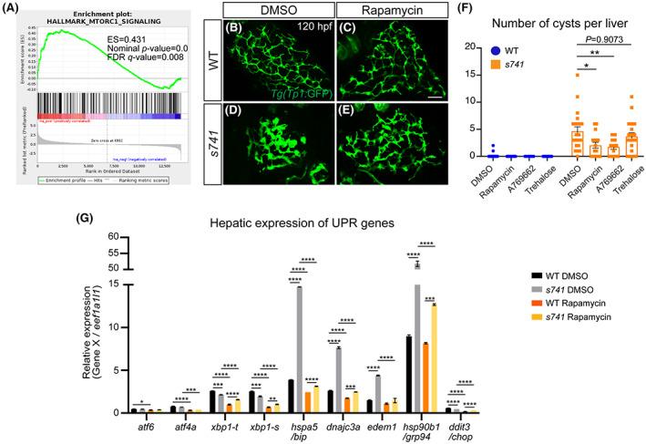 https://cdn.ncbi.nlm.nih.gov/pmc/blobs/df65/9592797/6c8ef344cf84/HEP4-6-3083-g008.jpg