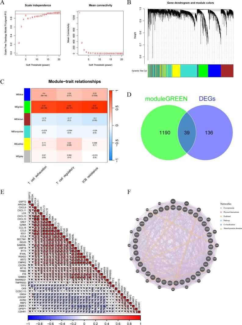 https://cdn.ncbi.nlm.nih.gov/pmc/blobs/df66/11813846/f7214d49debc/12672_2025_1930_Fig5_HTML.jpg