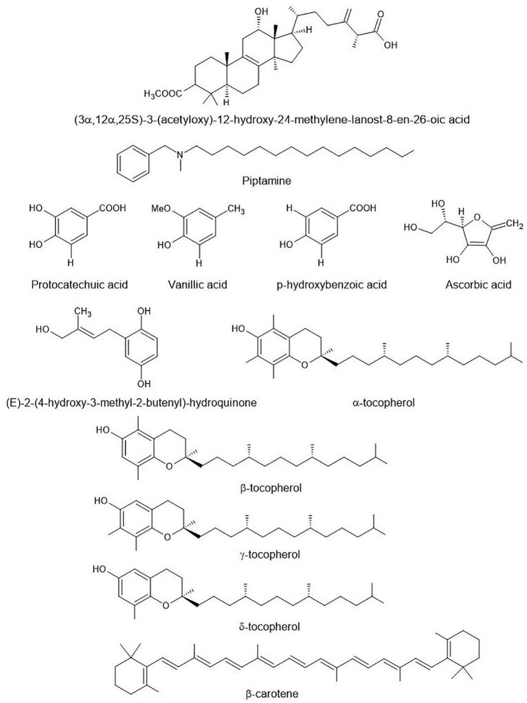 https://cdn.ncbi.nlm.nih.gov/pmc/blobs/df67/12053173/173046eacce1/fcimb-15-1534617-g004.jpg