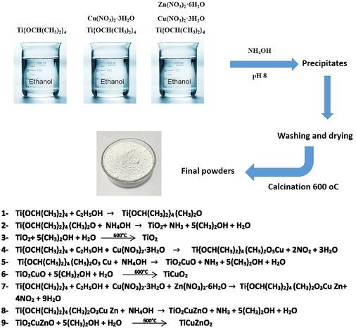 https://cdn.ncbi.nlm.nih.gov/pmc/blobs/df67/12368888/3db114c26347/OPEN-14-e202500261-g003.jpg