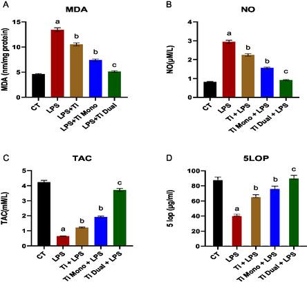 https://cdn.ncbi.nlm.nih.gov/pmc/blobs/df67/12368888/59c6e442def0/OPEN-14-e202500261-g001.jpg
