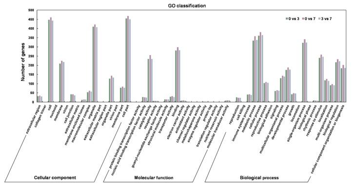https://cdn.ncbi.nlm.nih.gov/pmc/blobs/df67/7140839/06f0929b2634/genes-11-00243-g005.jpg