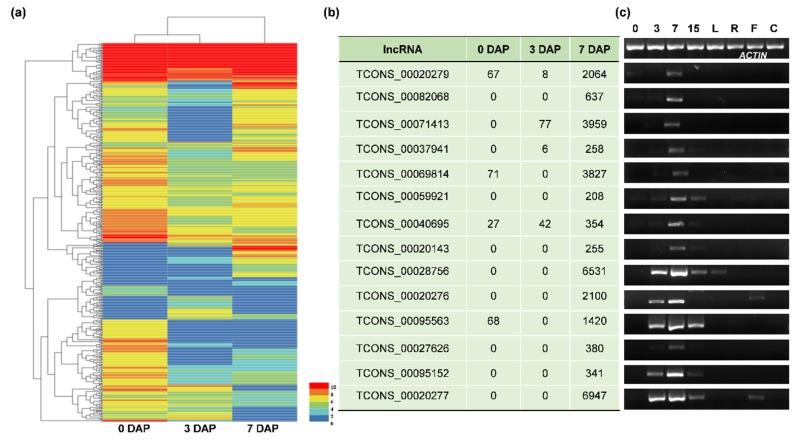 https://cdn.ncbi.nlm.nih.gov/pmc/blobs/df67/7140839/d26a27a7c4e6/genes-11-00243-g004.jpg