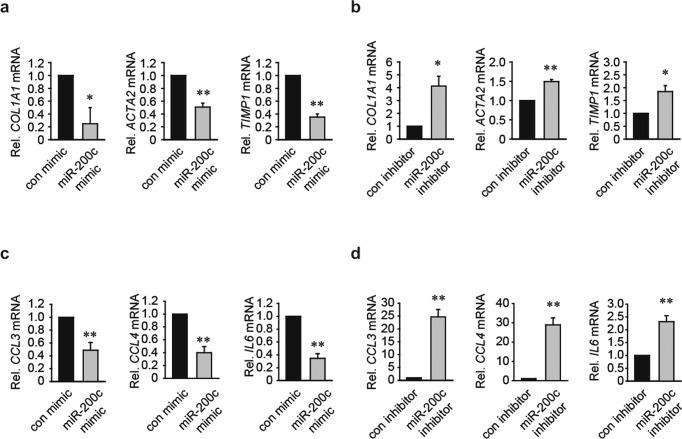 https://cdn.ncbi.nlm.nih.gov/pmc/blobs/df67/9256637/8212182b336f/12276_2022_781_Fig3_HTML.jpg